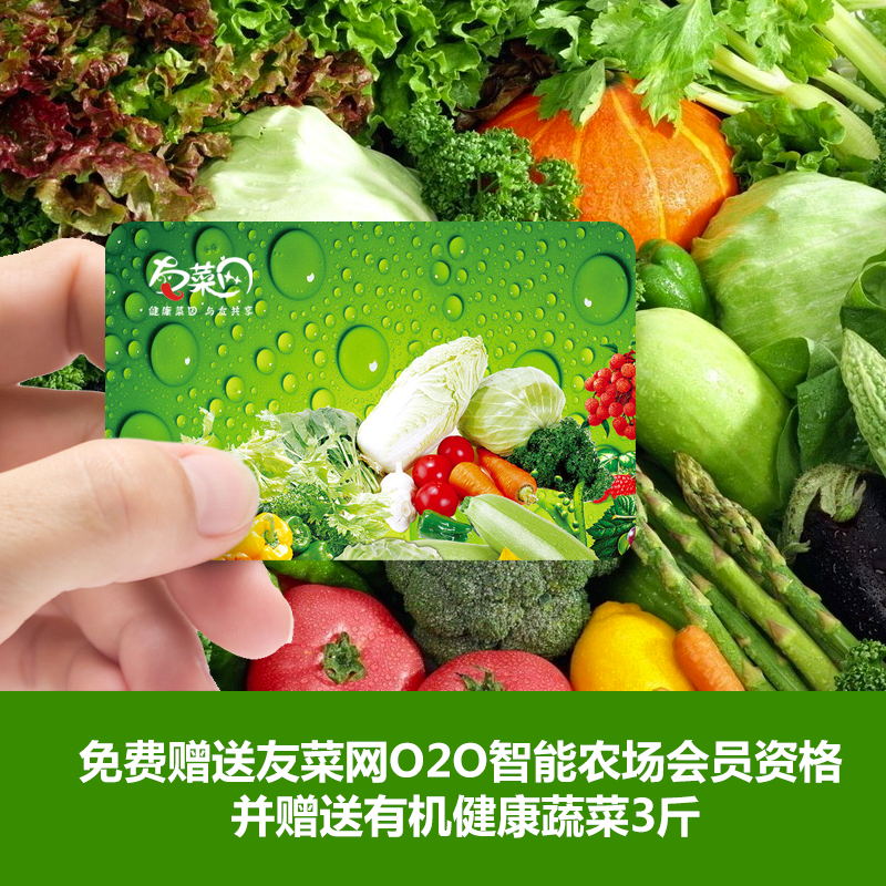 餐飲美食拍照攝影與畫冊設計有著緊密的聯係